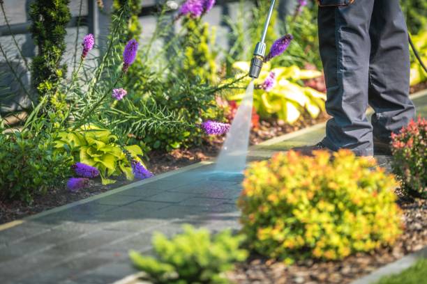 Best Dumpster Area Cleaning  in Magnolia, MS
