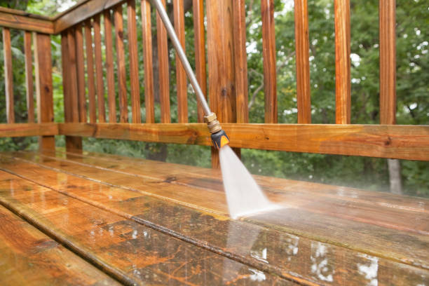Best Gutter Cleaning  in Magnolia, MS